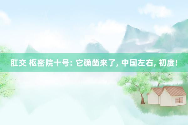 肛交 枢密院十号: 它确凿来了， 中国左右， 初度!