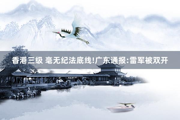 香港三级 毫无纪法底线!广东通报:雷军被双开