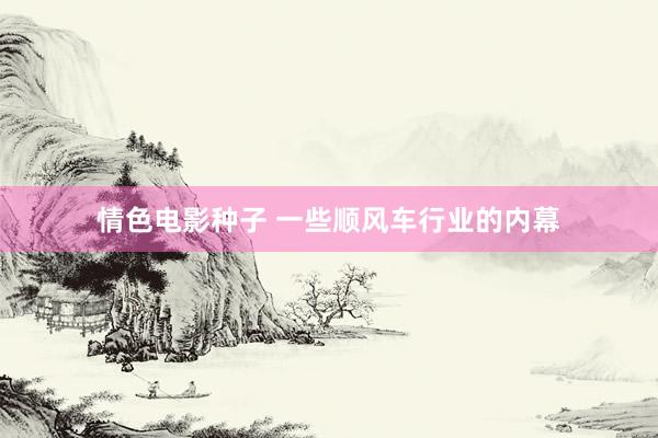 情色电影种子 一些顺风车行业的内幕